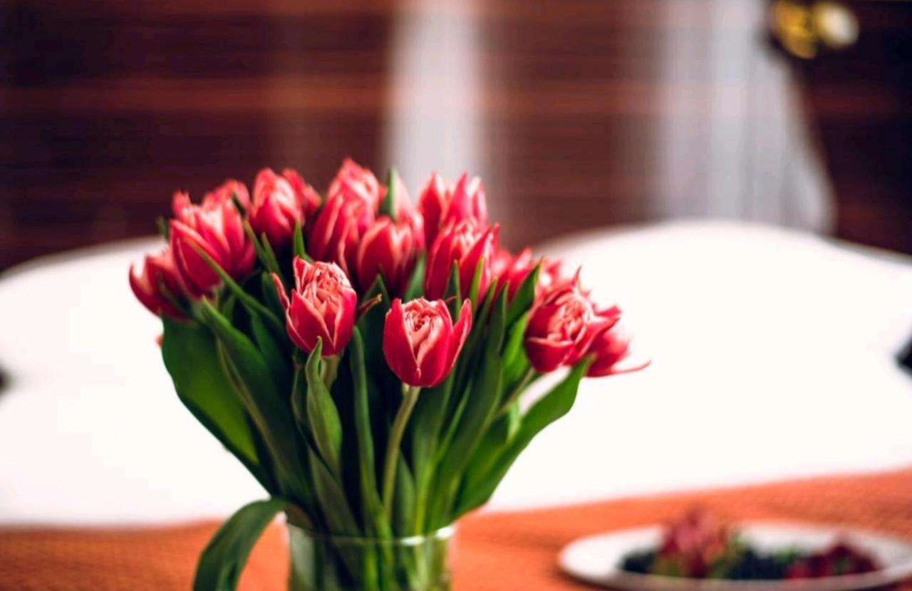 Access Hotel Bakü Dış mekan fotoğraf